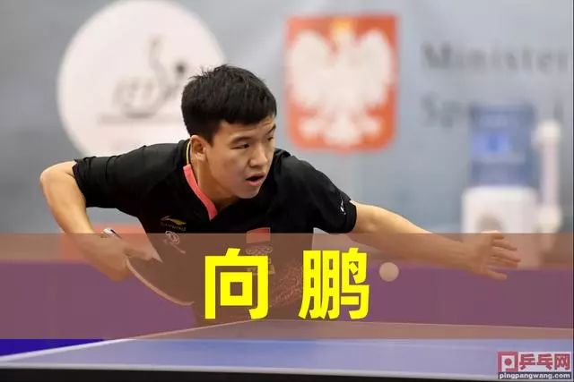 队新希望的 队新希望的